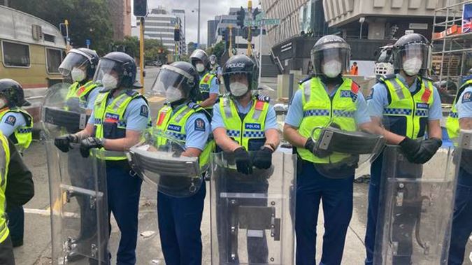 parliament-protest-wellington-police-nzh