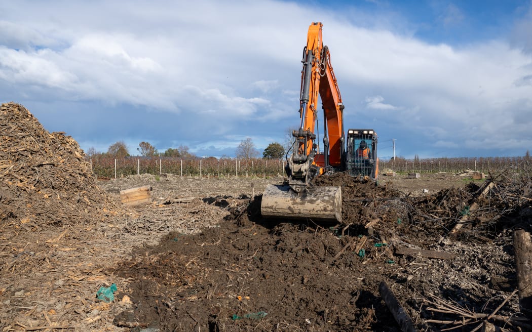 4L6E8ZT_Pakowhai_Silt_Site_jpg